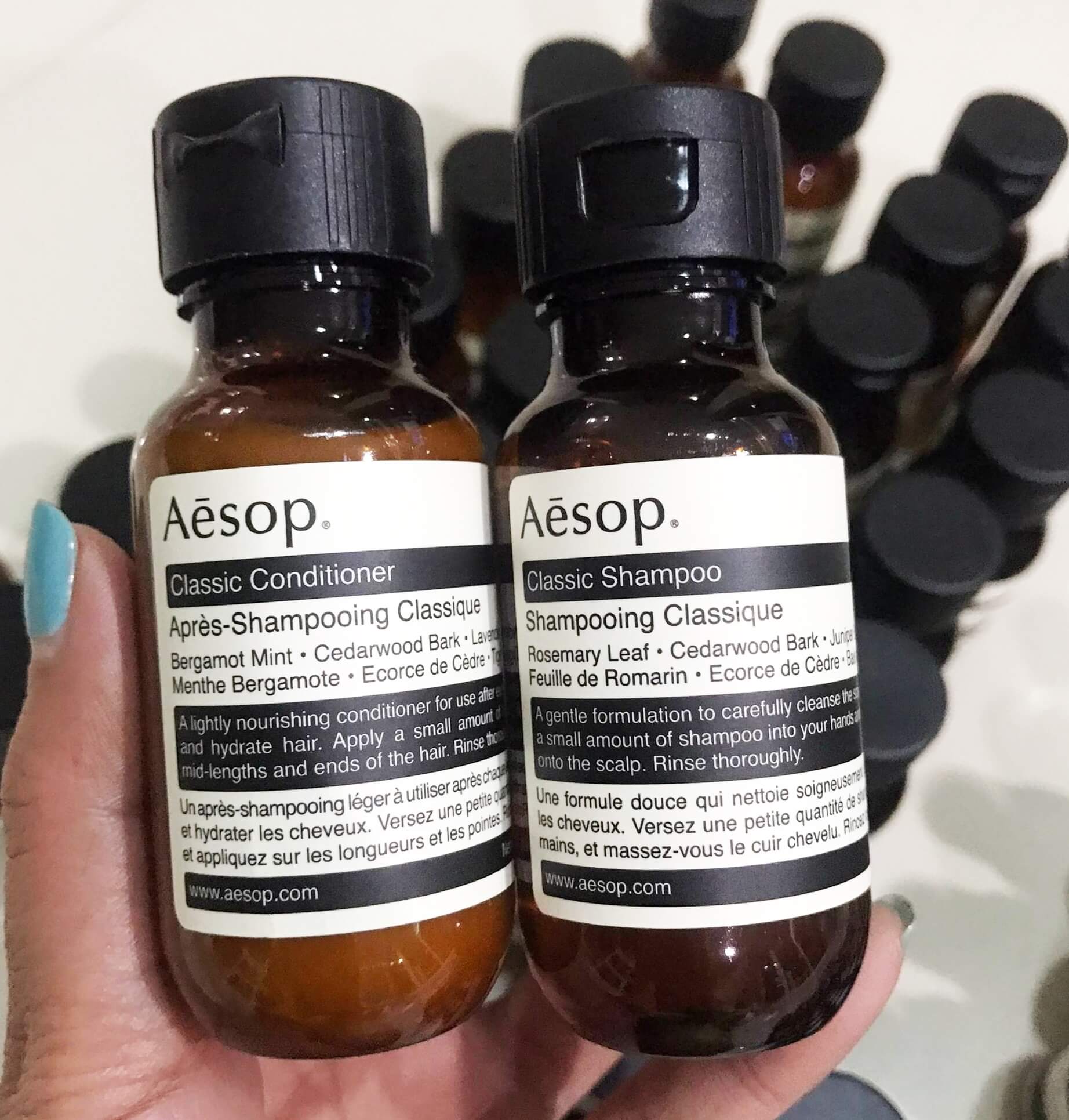 Aesop , aesop classic shampoo รีวิว, aesop classic shampoo 50ml, aesop classic shampoo review, aesop classic shampoo ingredients, aesop classic shampoo and conditioner, aesop shampoo, aesop shampoo รีวิว, aesop shampoo ราคา